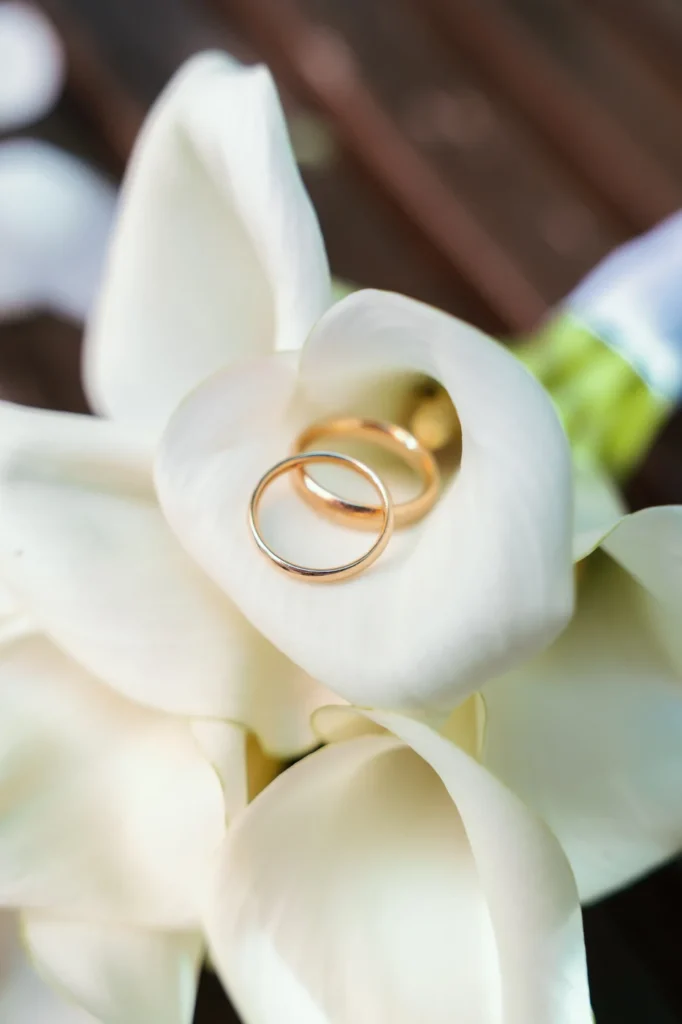Bianca e Ruben, matrimonio a Villa Sermolli, Buggiano Castello, fotografia 13